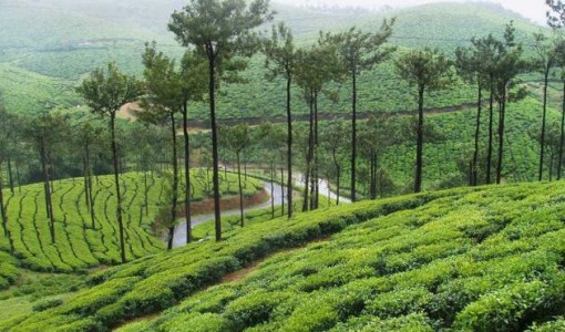 bangalore_nilgiris_2.jpg